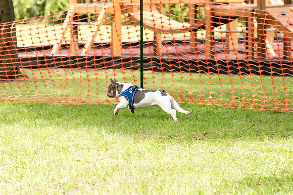 DSC_8318 copy