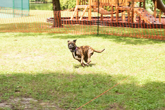 DSC_8349 copy