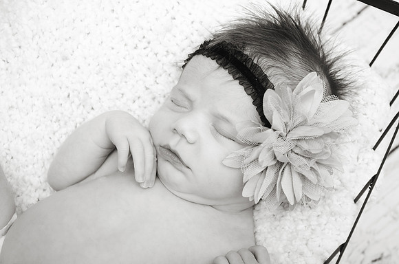 DSC_0053bw